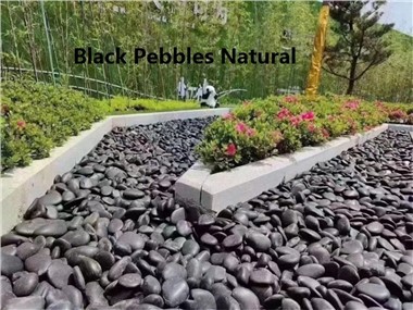 Còdols de pedra negra per al jardí